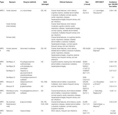 The Inflammation in the Cytopathology of Patients With Mucopolysaccharidoses- Immunomodulatory Drugs as an Approach to Therapy